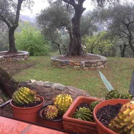 Tra Gli Ulivi * Lerici